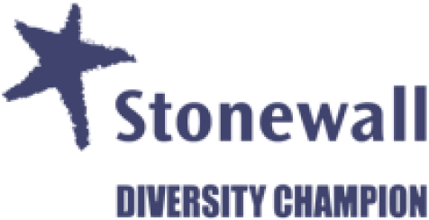 Stonewall Diversity Champion